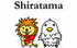 Shop Shiratama