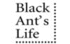 Black Ant s Life