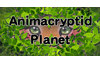 Animacryptid Planet