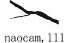 Naocam,111