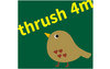 thrush 4m