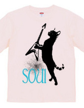 CatSOUL