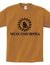 MUSCOMORPHA2