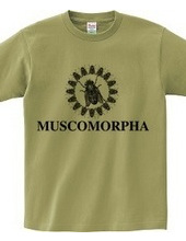 MUSCOMORPHA2