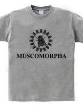 MUSCOMORPHA2