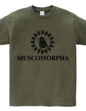 MUSCOMORPHA2