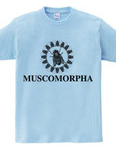 MUSCOMORPHA2