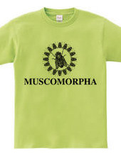 MUSCOMORPHA2