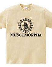 MUSCOMORPHA2