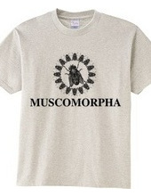 MUSCOMORPHA2