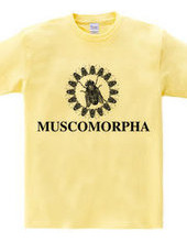 MUSCOMORPHA2