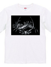 japanese samurai Shingen Takeda t-shirt