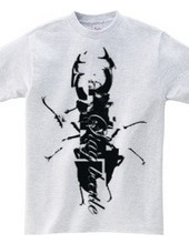 stag beetle