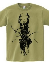 stag beetle