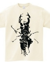 stag beetle