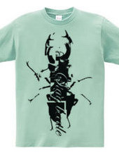 stag beetle