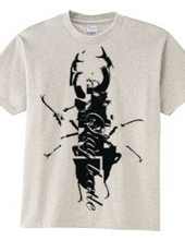 stag beetle