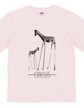 circus