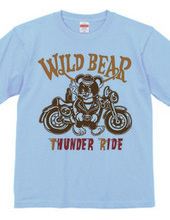 motorcycle wiid bear