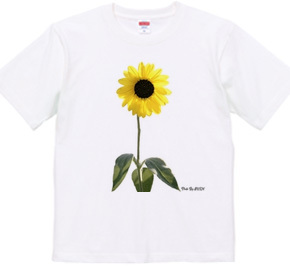 ひまわり　SUN FLOWER-002