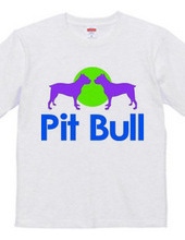 Pit bull02