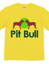 Pit bull02