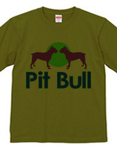 Pit bull02