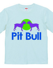 Pit bull02