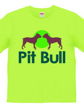 Pit bull02