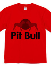 Pit bull02