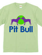 Pit bull02