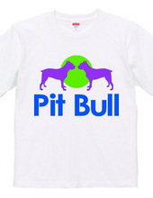 Pit bull02