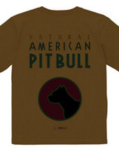 american pit bull