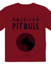 american pit bull