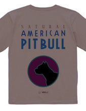 american pit bull