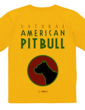 american pit bull