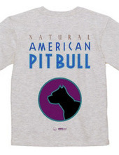 american pit bull