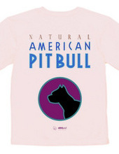 american pit bull