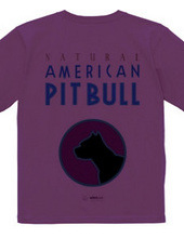 american pit bull