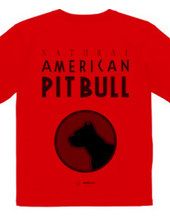 american pit bull