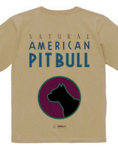 american pit bull