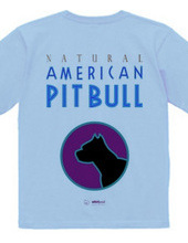 american pit bull