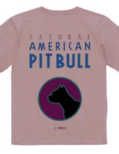 american pit bull