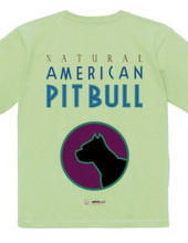 american pit bull