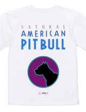 american pit bull