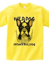 WILD DOG