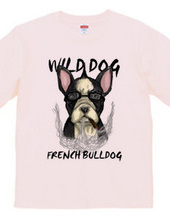 WILD DOG