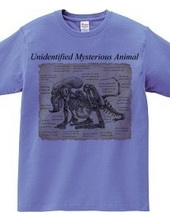 Unidentified Mysterious Animal