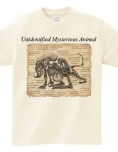 Unidentified Mysterious Animal