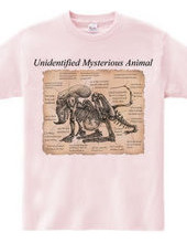 Unidentified Mysterious Animal